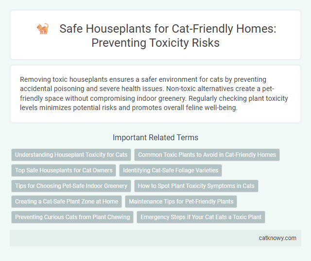 Safe Houseplants for Cat-Friendly Homes: Preventing Toxicity Risks