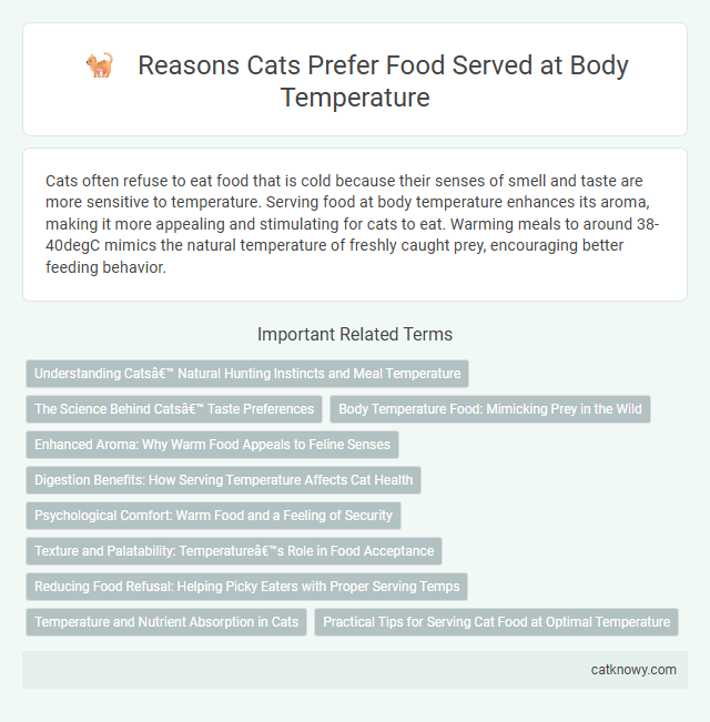 Reasons Cats Prefer Food Served at Body Temperature