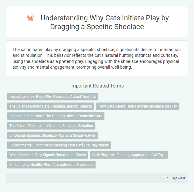 Understanding Why Cats Initiate Play by Dragging a Specific Shoelace