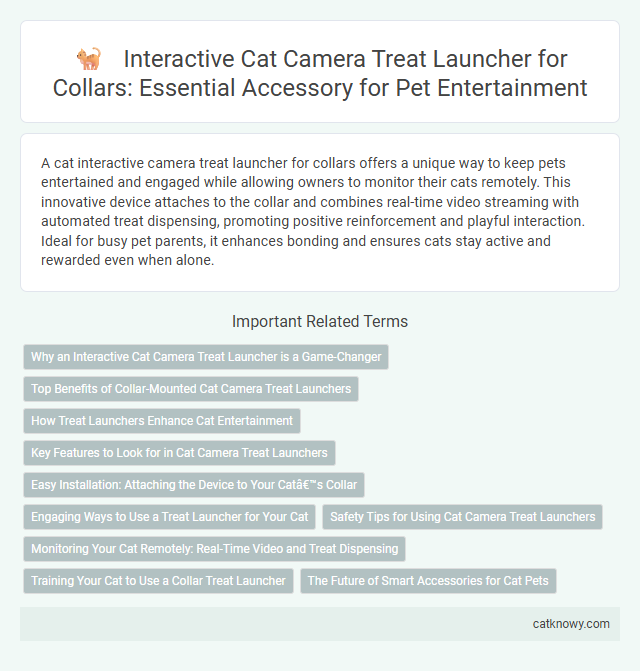 Interactive Cat Camera Treat Launcher for Collars: Essential Accessory for Pet Entertainment