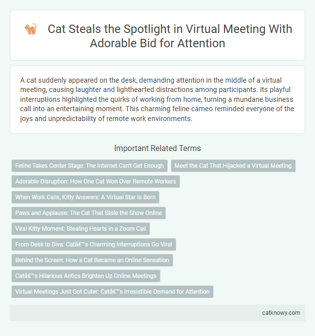 Cat Steals the Spotlight in Virtual Meeting With Adorable Bid for Attention