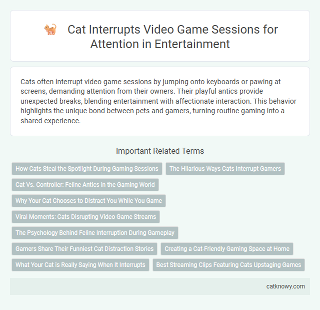 Cat Interrupts Video Game Sessions for Attention in Entertainment
