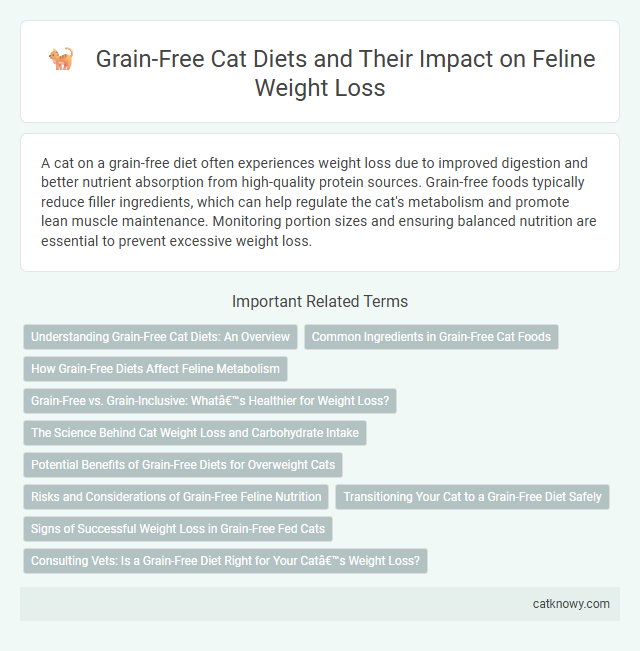 Grain-Free Cat Diets and Their Impact on Feline Weight Loss