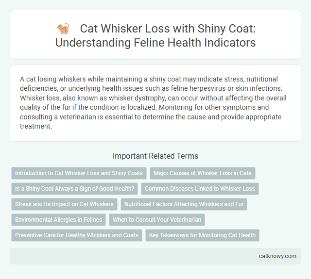 Cat Whisker Loss with Shiny Coat: Understanding Feline Health Indicators