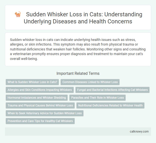 Sudden Whisker Loss in Cats: Understanding Underlying Diseases and Health Concerns