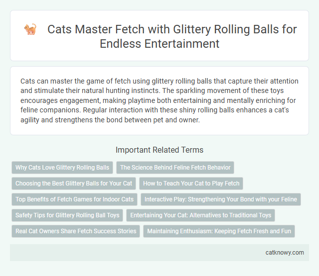 Cats Master Fetch with Glittery Rolling Balls for Endless Entertainment
