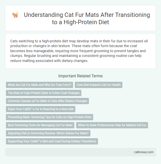 Understanding Cat Fur Mats After Transitioning to a High-Protein Diet