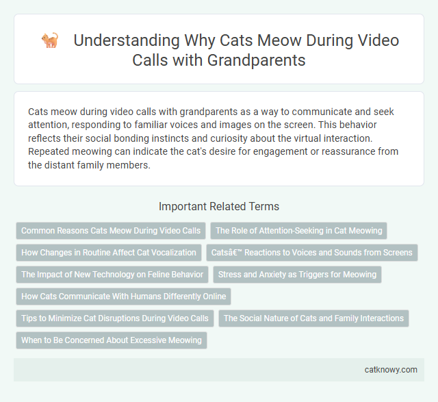 Understanding Why Cats Meow During Video Calls with Grandparents