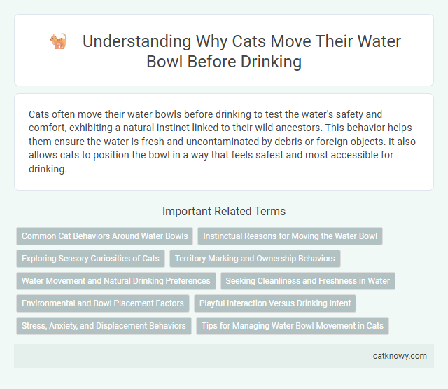 Understanding Why Cats Move Their Water Bowl Before Drinking
