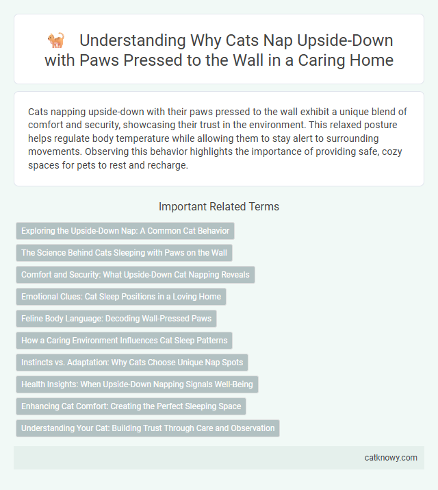 Understanding Why Cats Nap Upside-Down with Paws Pressed to the Wall in a Caring Home