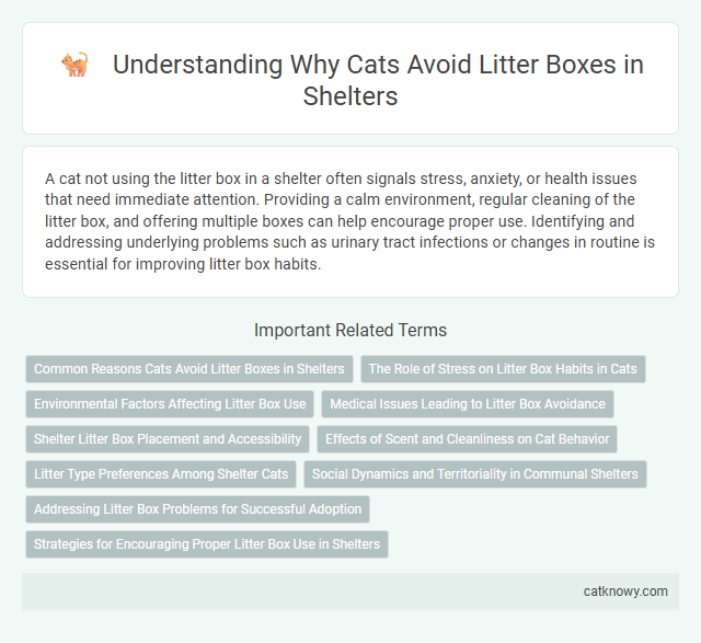 Understanding Why Cats Avoid Litter Boxes in Shelters