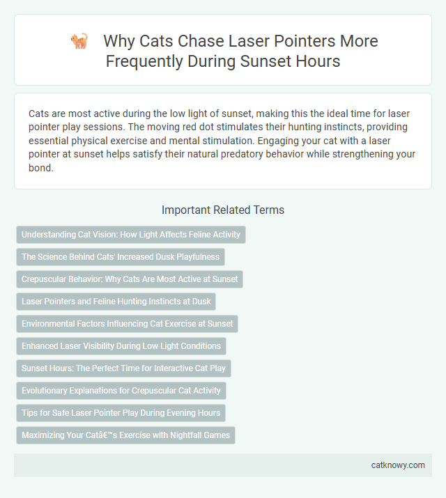 Why Cats Chase Laser Pointers More Frequently During Sunset Hours
