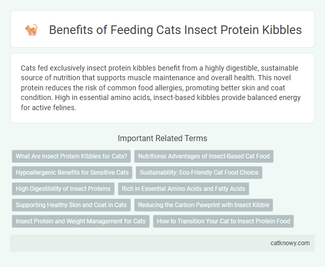 Benefits of Feeding Cats Insect Protein Kibbles