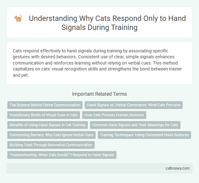 Understanding Why Cats Respond Only to Hand Signals During Training