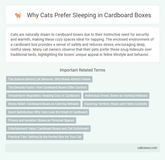 Why Cats Prefer Sleeping in Cardboard Boxes