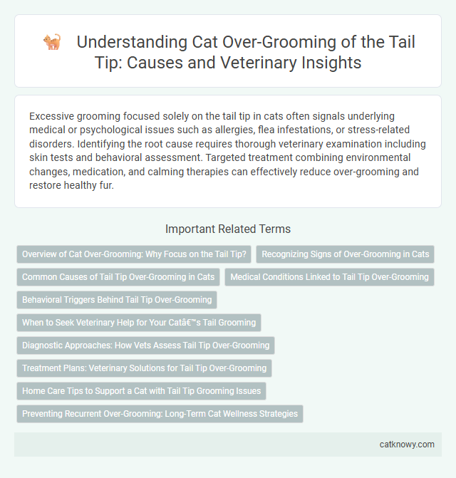 Understanding Cat Over-Grooming of the Tail Tip: Causes and Veterinary Insights