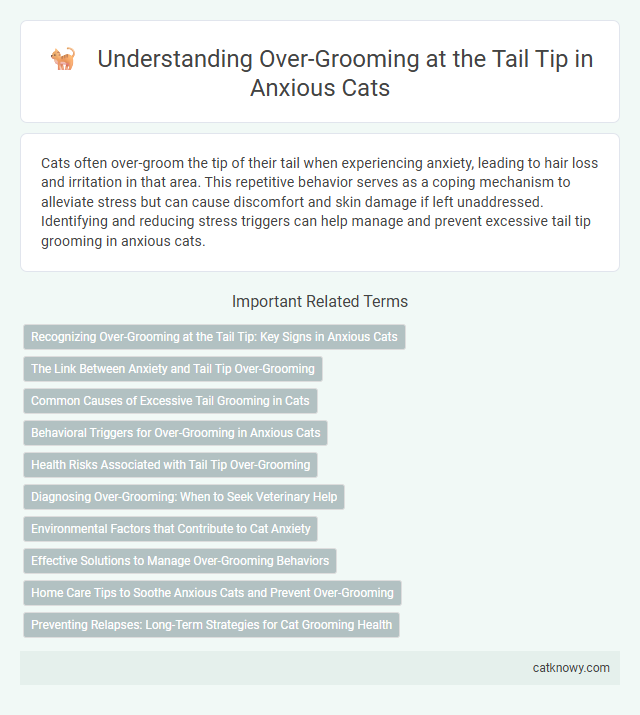Understanding Over-Grooming at the Tail Tip in Anxious Cats
