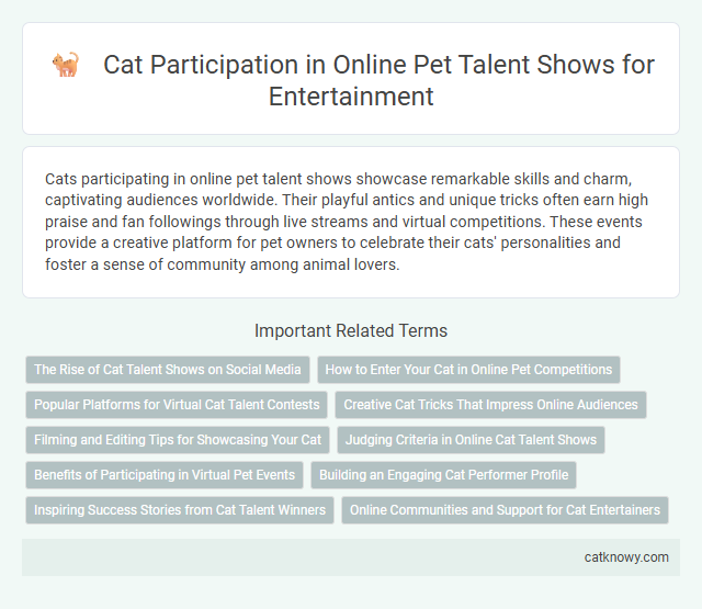 Cat Participation in Online Pet Talent Shows for Entertainment