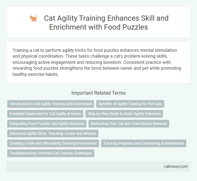Cat Agility Training Enhances Skill and Enrichment with Food Puzzles