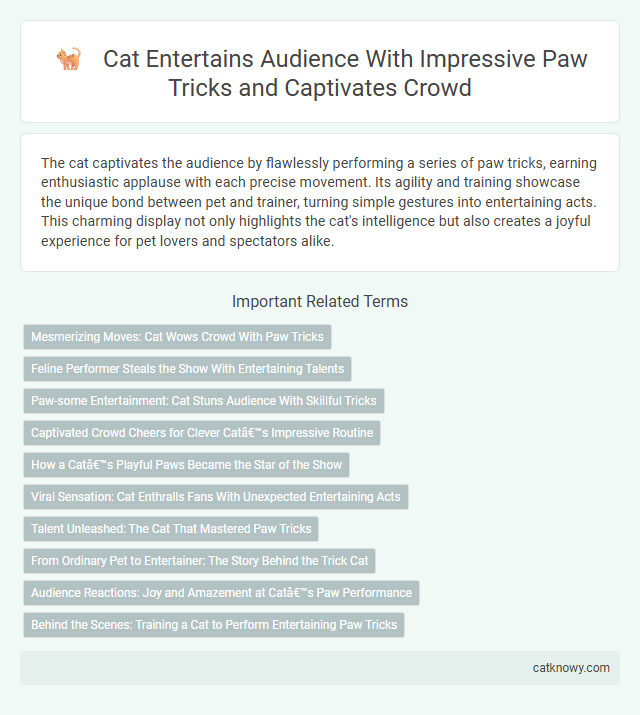 Cat Entertains Audience With Impressive Paw Tricks and Captivates Crowd
