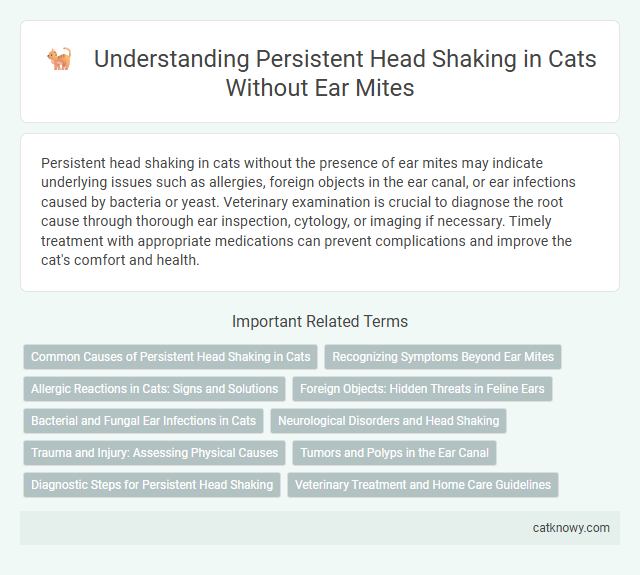 Understanding Persistent Head Shaking in Cats Without Ear Mites