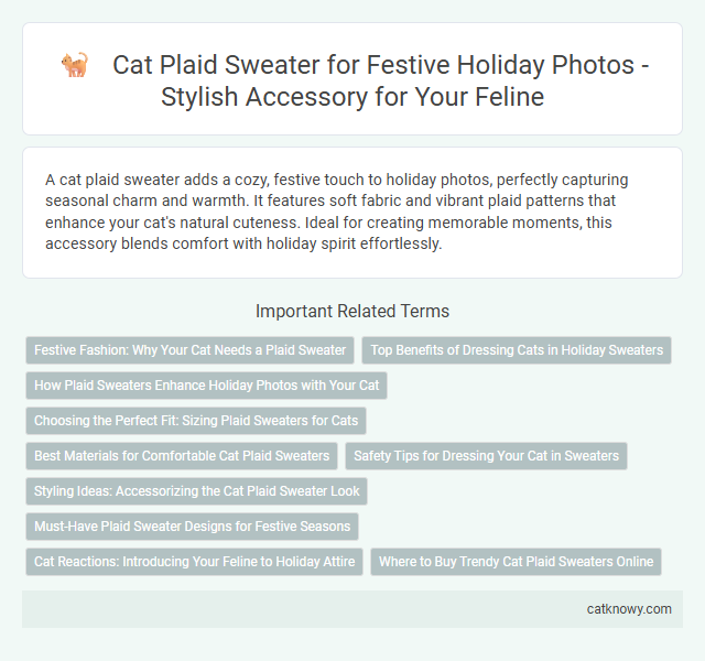 Cat Plaid Sweater for Festive Holiday Photos - Stylish Accessory for Your Feline