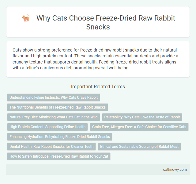 Why Cats Choose Freeze-Dried Raw Rabbit Snacks