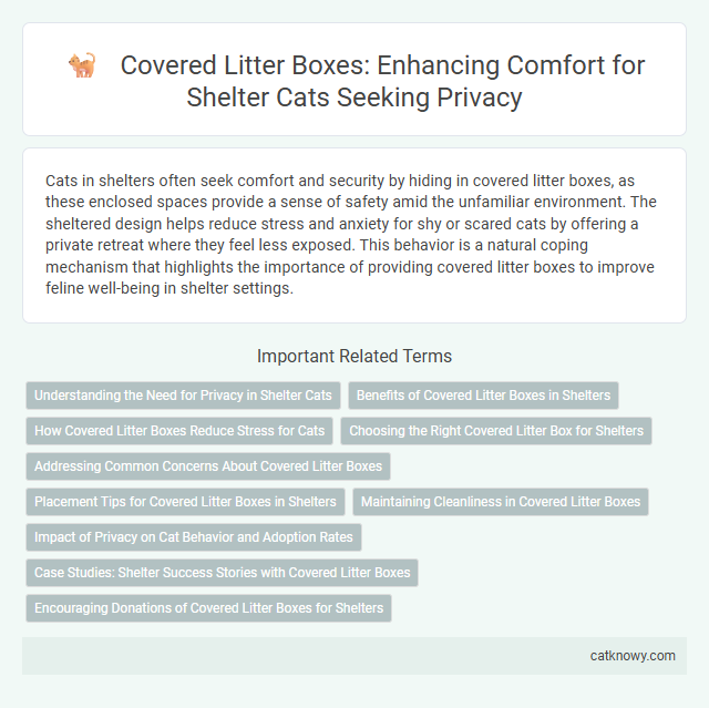 Covered Litter Boxes: Enhancing Comfort for Shelter Cats Seeking Privacy