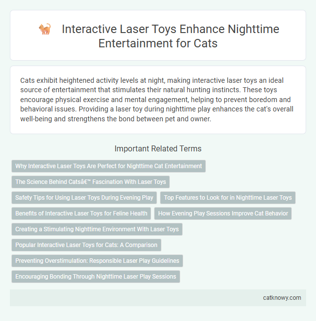 Interactive Laser Toys Enhance Nighttime Entertainment for Cats