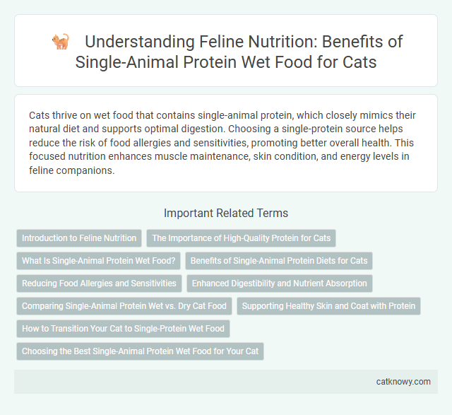 Understanding Feline Nutrition: Benefits of Single-Animal Protein Wet Food for Cats