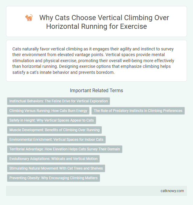 Why Cats Choose Vertical Climbing Over Horizontal Running for Exercise