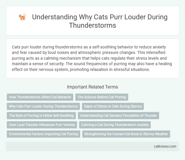 Understanding Why Cats Purr Louder During Thunderstorms