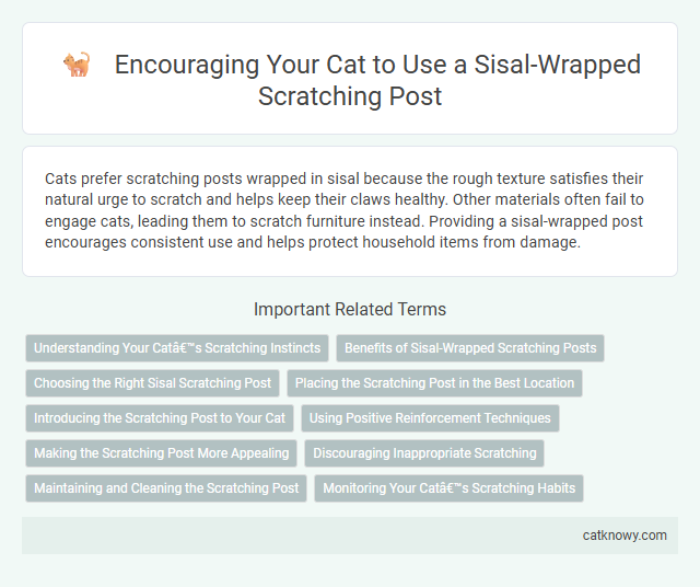 Encouraging Your Cat to Use a Sisal-Wrapped Scratching Post