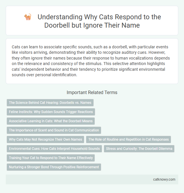 Understanding Why Cats Respond to the Doorbell but Ignore Their Name