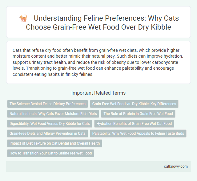 Understanding Feline Preferences: Why Cats Choose Grain-Free Wet Food Over Dry Kibble