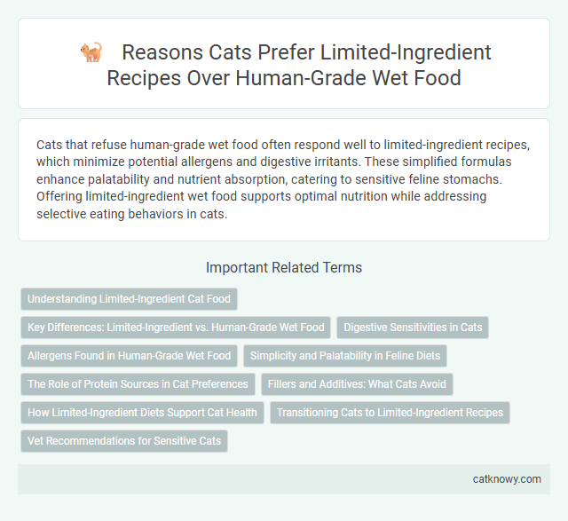 Reasons Cats Prefer Limited-Ingredient Recipes Over Human-Grade Wet Food