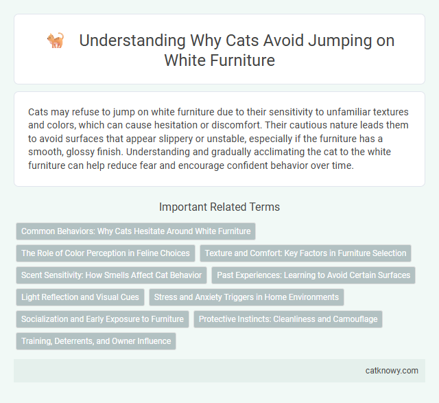 Understanding Why Cats Avoid Jumping on White Furniture