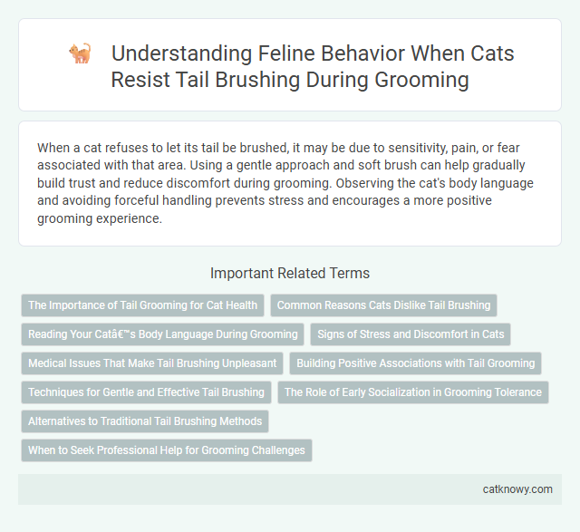 Understanding Feline Behavior When Cats Resist Tail Brushing During Grooming