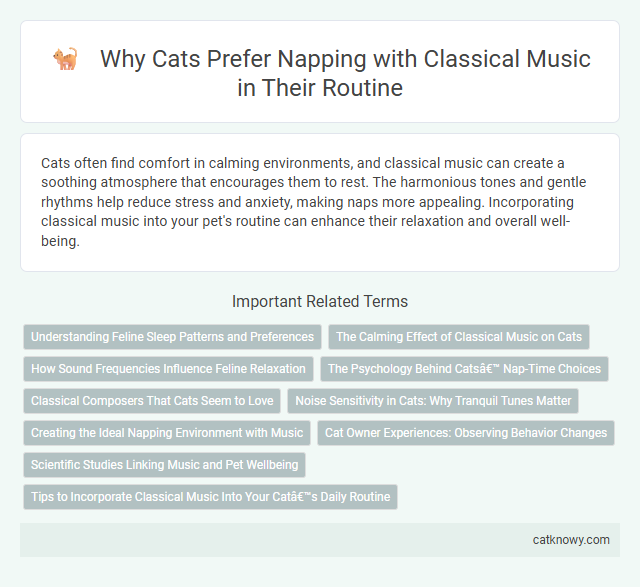Why Cats Prefer Napping with Classical Music in Their Routine