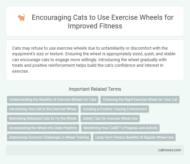 Encouraging Cats to Use Exercise Wheels for Improved Fitness