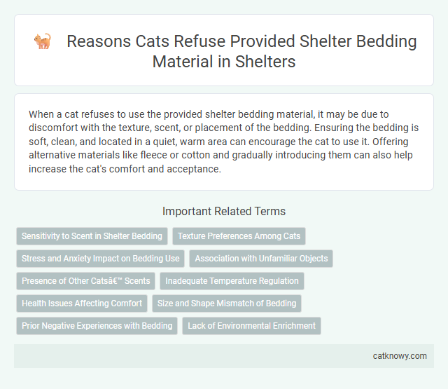 Reasons Cats Refuse Provided Shelter Bedding Material in Shelters