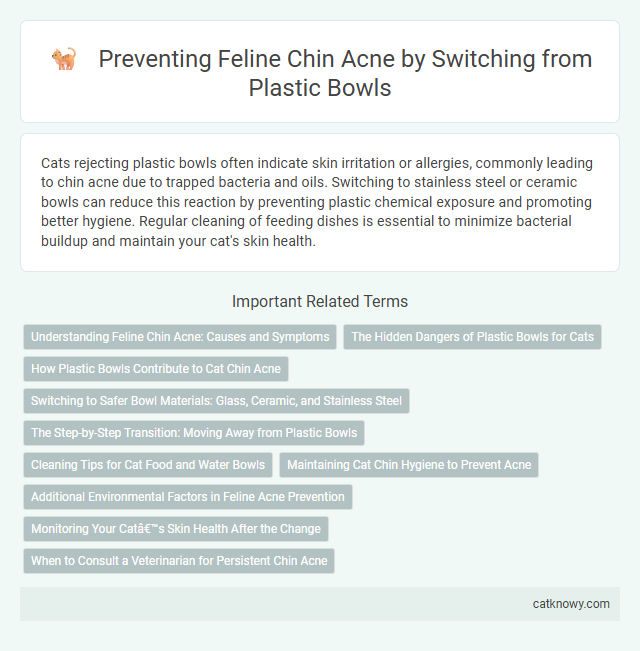 Preventing Feline Chin Acne by Switching from Plastic Bowls