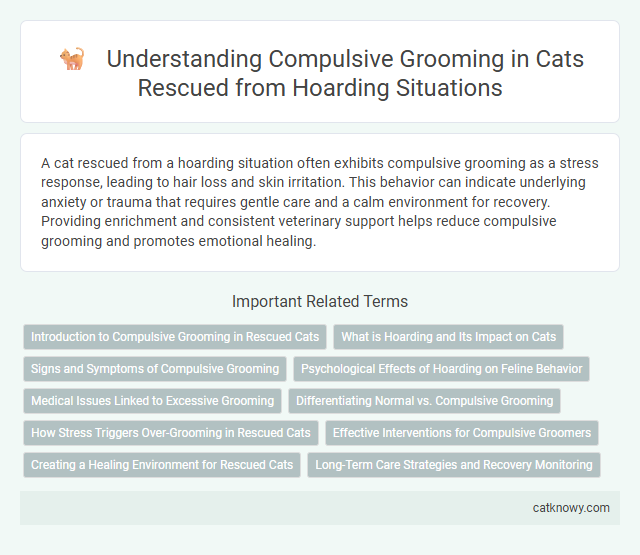 Understanding Compulsive Grooming in Cats Rescued from Hoarding Situations