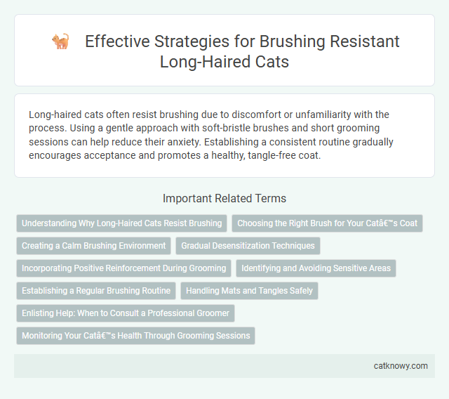 Effective Strategies for Brushing Resistant Long-Haired Cats