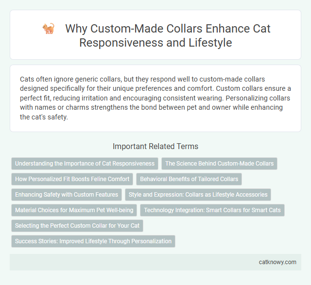 Why Custom-Made Collars Enhance Cat Responsiveness and Lifestyle