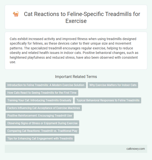 Cat Reactions to Feline-Specific Treadmills for Exercise
