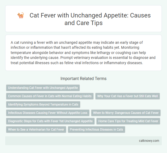 Cat Fever with Unchanged Appetite: Causes and Care Tips