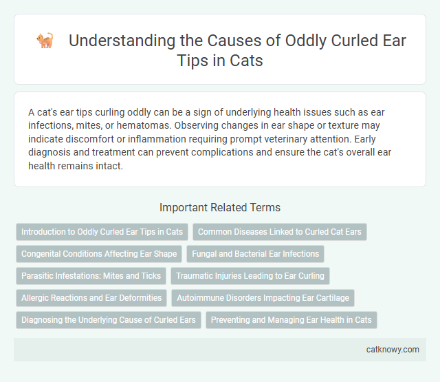 Understanding the Causes of Oddly Curled Ear Tips in Cats