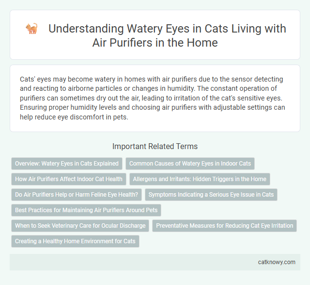 Understanding Watery Eyes in Cats Living with Air Purifiers in the Home