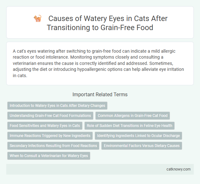 Causes of Watery Eyes in Cats After Transitioning to Grain-Free Food